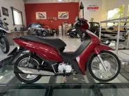  - Miniatura