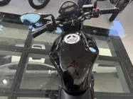  - Miniatura