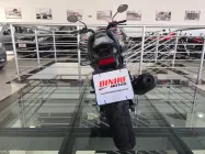  - Miniatura
