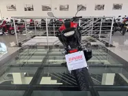  - Miniatura