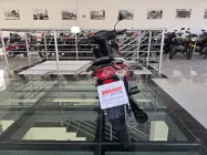  - Miniatura