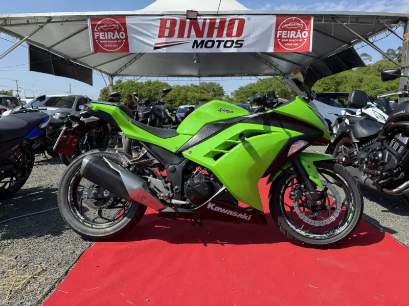 Ninja 300 - Foto