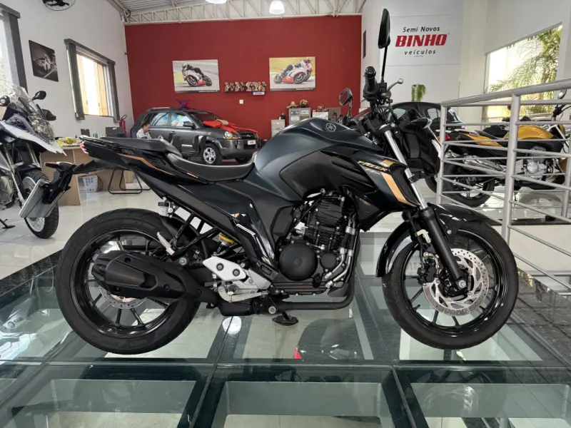 FZ 25 250 Fazer Flex - Foto