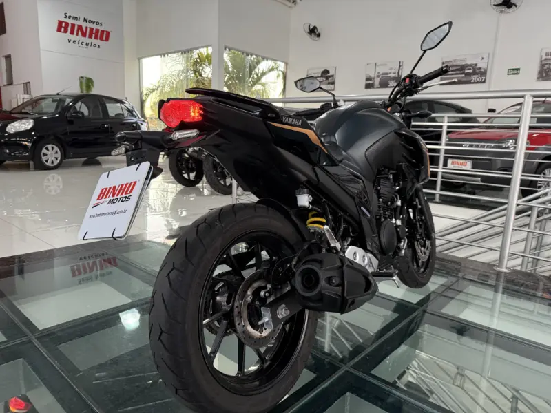 FZ 25 250 Fazer Flex - Foto