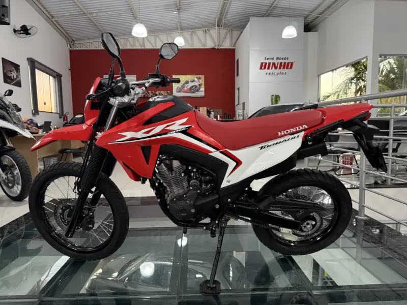 XR 300 L Tornado - Foto