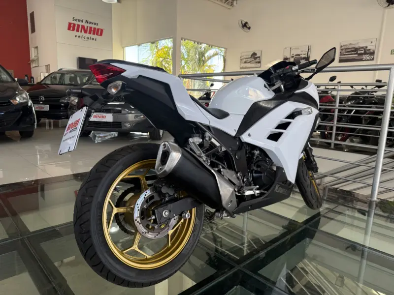 Ninja 300 - Foto