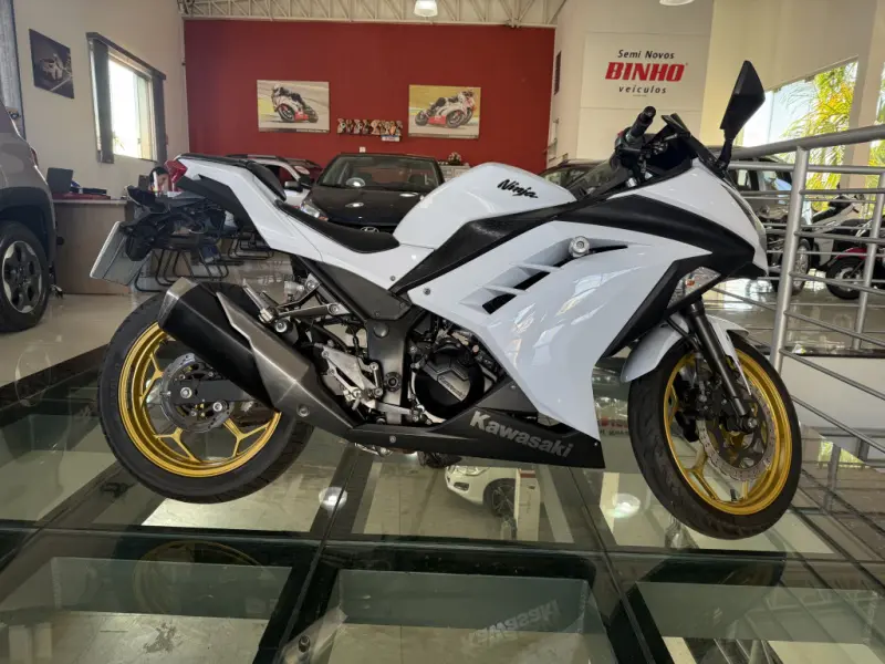 Ninja 300 - Foto