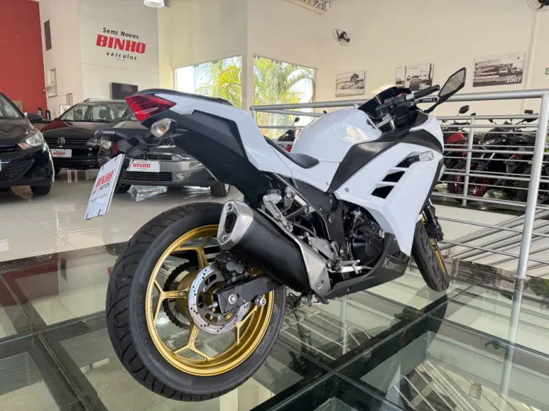 Ninja 300 - Foto
