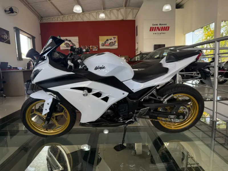 Ninja 300 - Foto