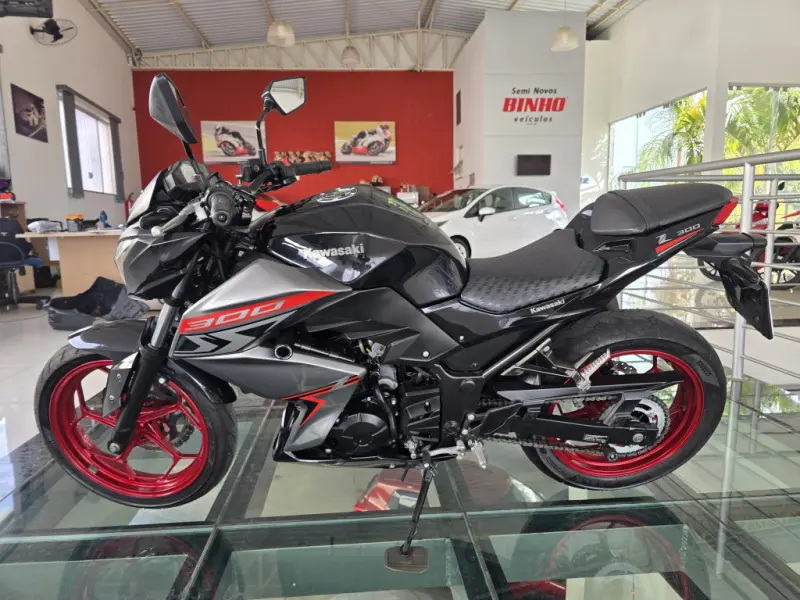 Z 300 - Foto